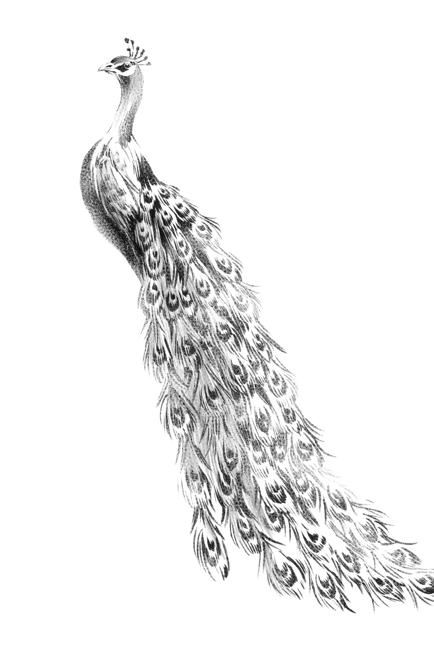 Deadman Wonderland Chapter 54 image 38